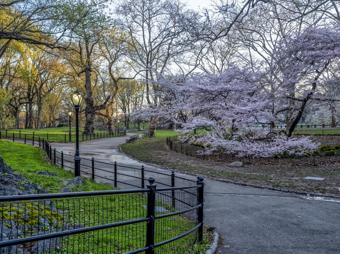 Blooming parks & mild weather