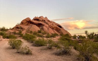 Bird Watching at Papago Park