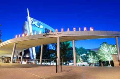 Kids’ Favorite Georgia Aquarium Atlanta