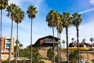 Long Beach, CA: Palm Trees and Museum of Art