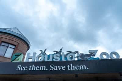 Houston Zoo for Family Fun